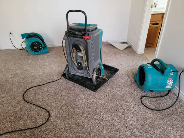 Trusted Radisson, NY Water damage restoration Experts