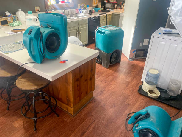 Best Water damage restoration near me  in Radisson, NY