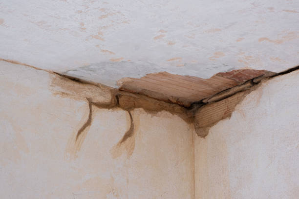 Best Emergency water damage restoration  in Radisson, NY