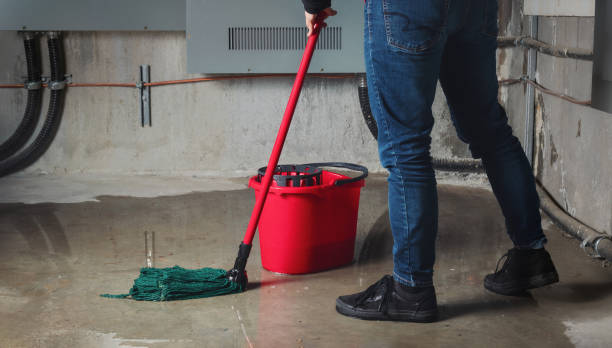 Best Fire Damage Restoration  in Radisson, NY