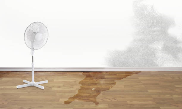 Best 24/7 water damage repair  in Radisson, NY