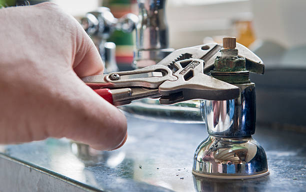 Best Water damage cleanup near me  in Radisson, NY