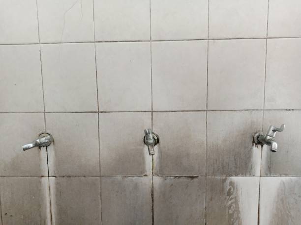 Best Ceiling water damage repair  in Radisson, NY