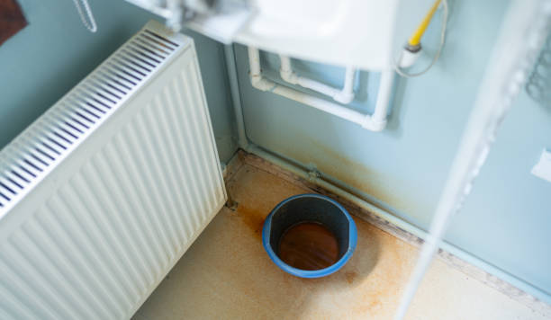Best Professional water damage repair  in Radisson, NY