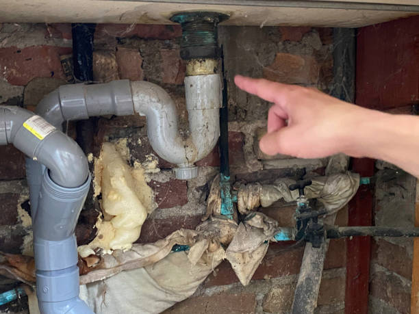 Best Flooded house restoration  in Radisson, NY